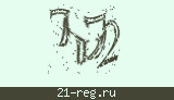 Защитный код