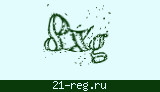 Защитный код