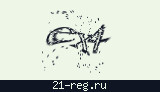 Защитный код