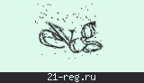 Защитный код