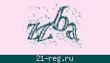 Защитный код