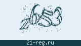 Защитный код