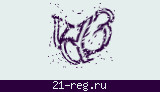 Защитный код