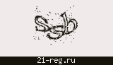 Защитный код