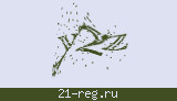 Защитный код