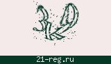 Защитный код