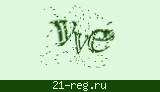 Защитный код