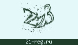 Защитный код