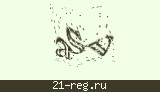 Защитный код