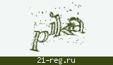 Защитный код