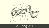 Защитный код