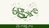 Защитный код