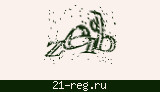 Защитный код