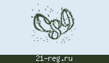 Защитный код
