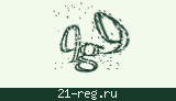 Защитный код