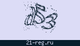 Защитный код