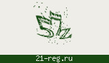Защитный код