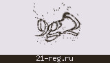 Защитный код