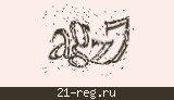 Защитный код