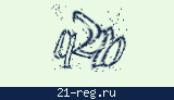 Защитный код