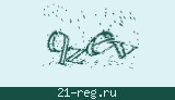 Защитный код