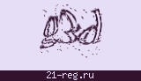 Защитный код
