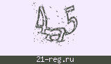 Защитный код