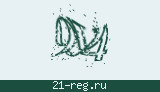 Защитный код