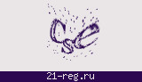 Защитный код