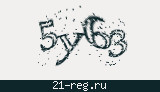 Защитный код