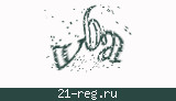 Защитный код