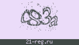 Защитный код