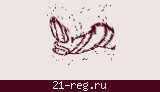 Защитный код