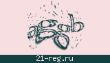 Защитный код