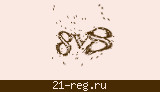 Защитный код