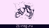 Защитный код