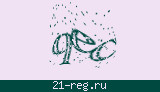 Защитный код