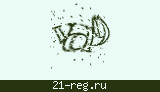 Защитный код