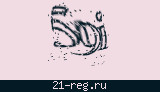 Защитный код
