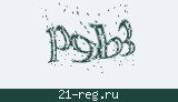 Защитный код