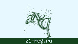 Защитный код