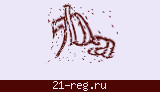 Защитный код