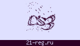 Защитный код