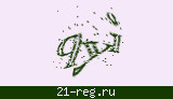Защитный код