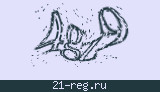 Защитный код