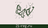 Защитный код