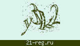 Защитный код
