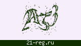 Защитный код