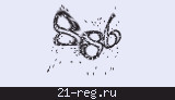 Защитный код