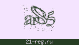 Защитный код